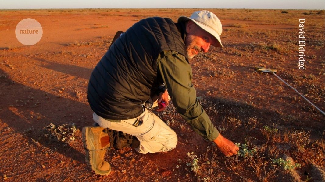 d41586 026 01260 x 52303204 jpg