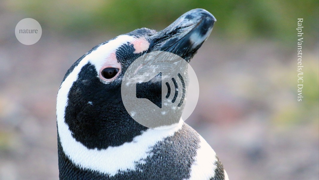 d41586 026 01263 8 52302976 jpg