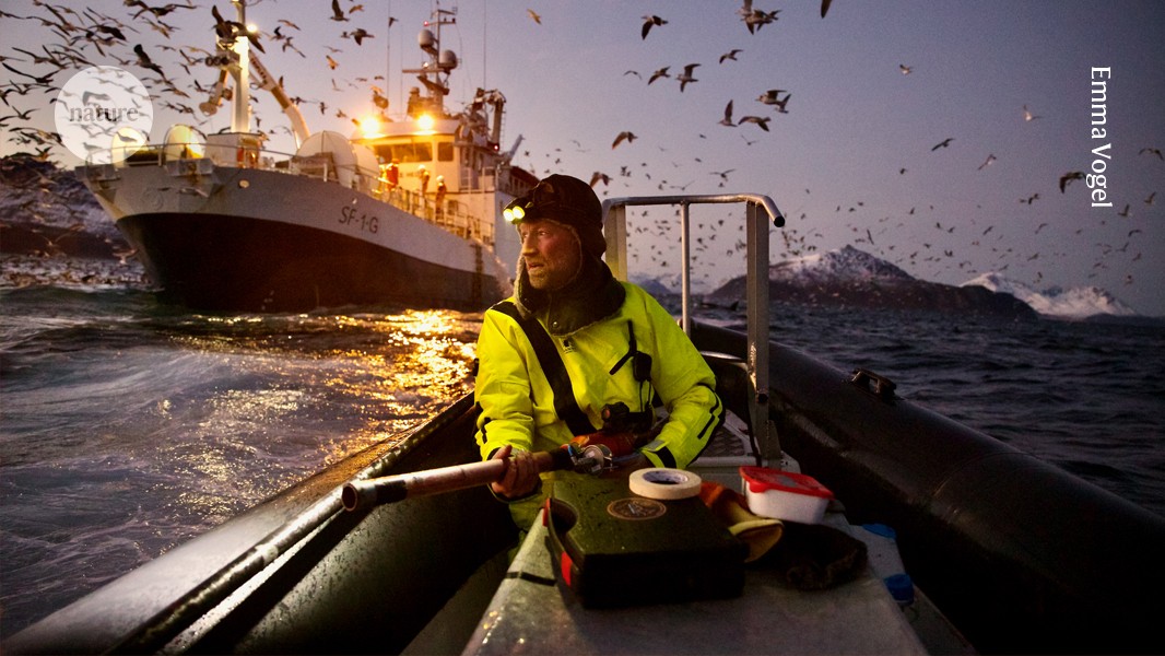 d41586 026 01266 5 52310290 jpg