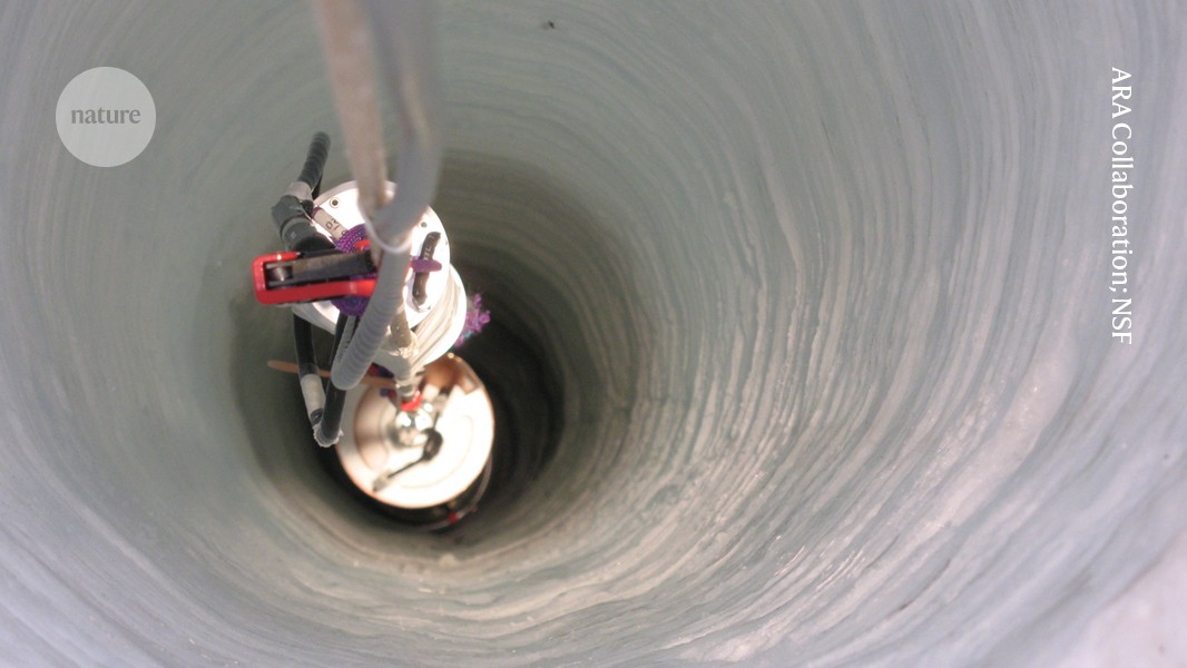 d41586 026 01282 5 52331344 jpg