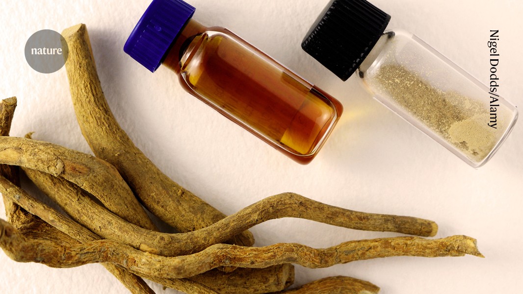 d41586 026 01286 1 52318110 jpg