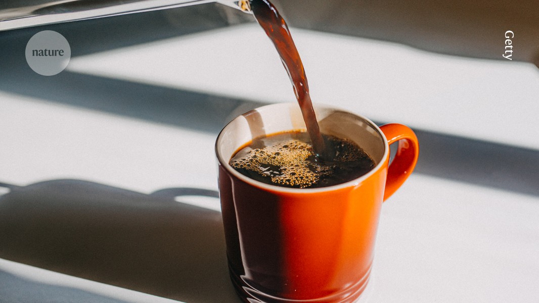 d41586 026 01289 y 52339316 jpg