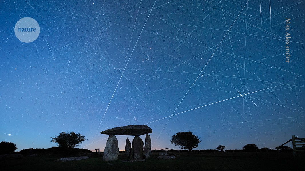 d41586 026 01298 x 52323086 jpg