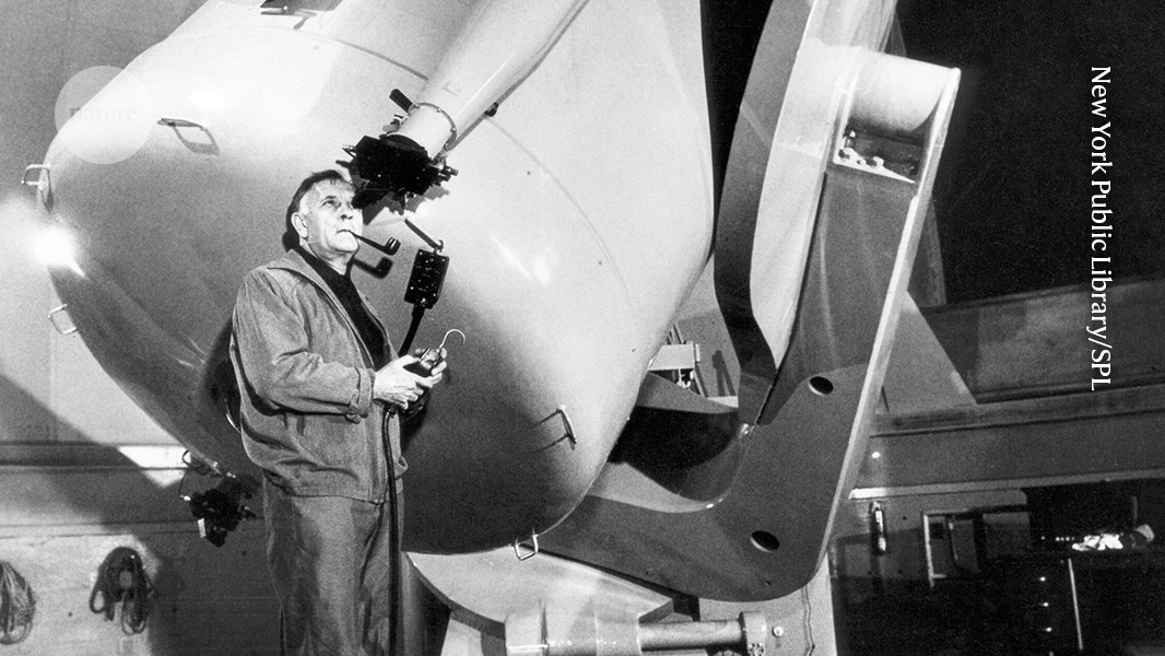 d41586 026 01303 3 52326804 jpg