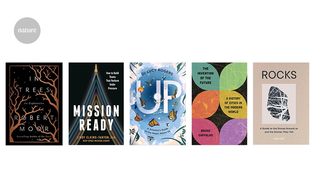 d41586 026 01304 2 52326848 jpg