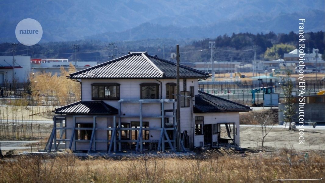 d41586 026 01345 7 52331216 jpg