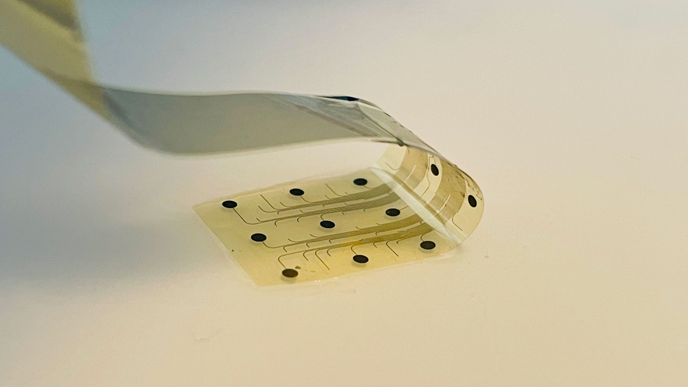 ea85c21a8c53cf0eef9b9ecc3880ffc69e99d5ed jpg