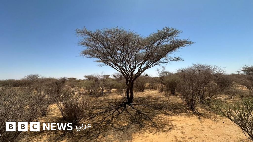 eaceaf90 38c6 11f1 879d 1b2f5c3919b8 jpg