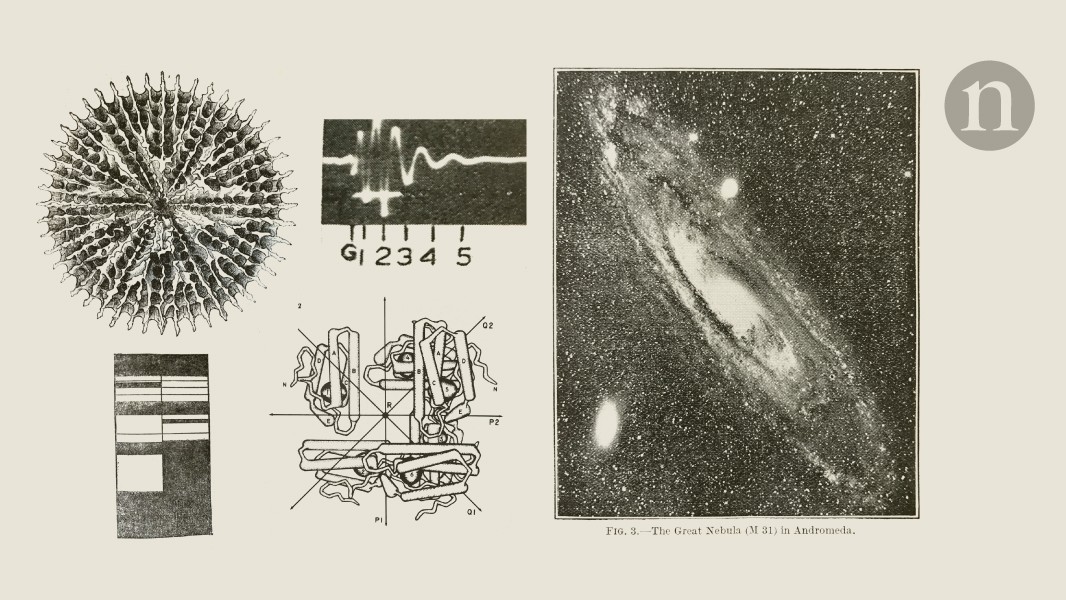 d41586 026 01336 8 15948434 jpg