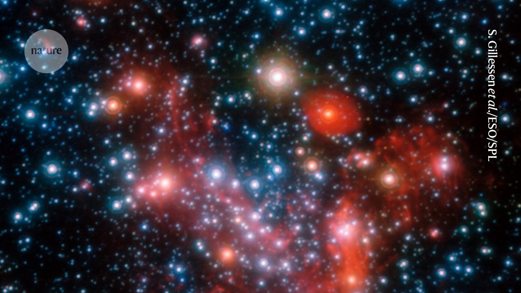 d41586 026 01591 9 52422130 jpg