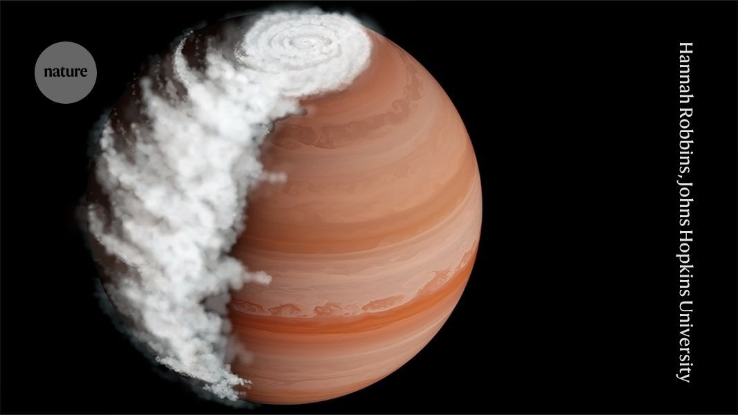 d41586 026 01608 3 52441842 jpg