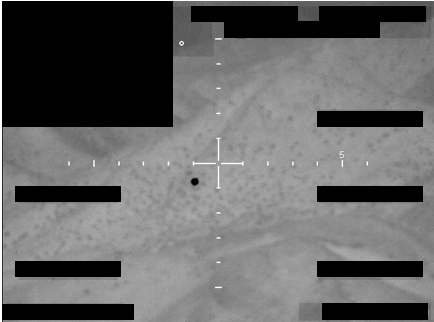 fbi photo a5 png