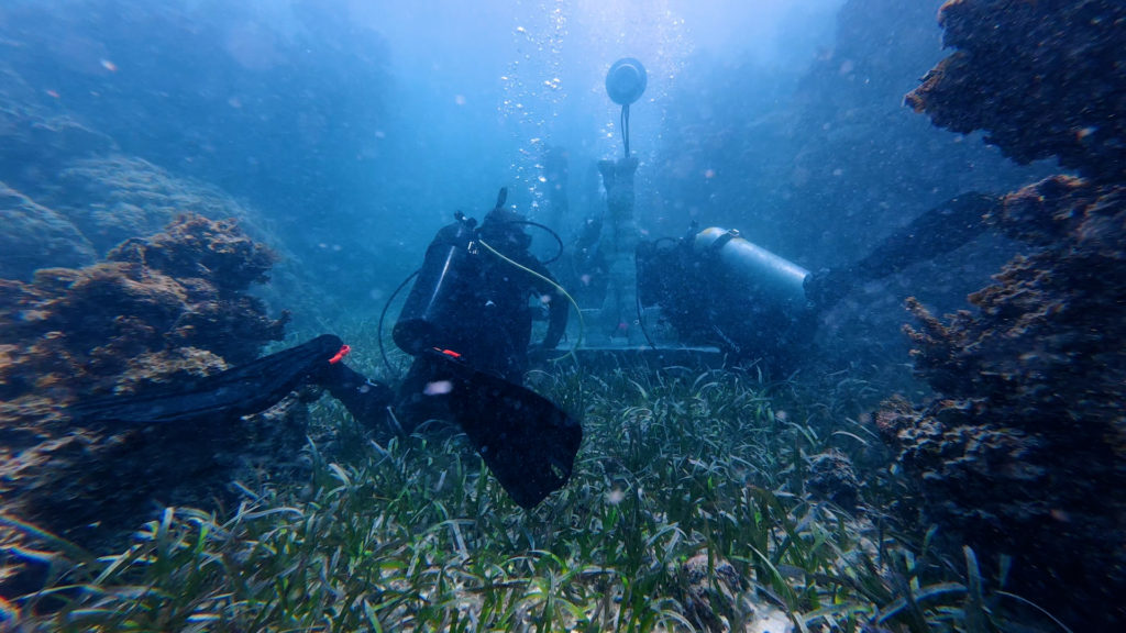 restoringreefs 1024  215 576 jpeg