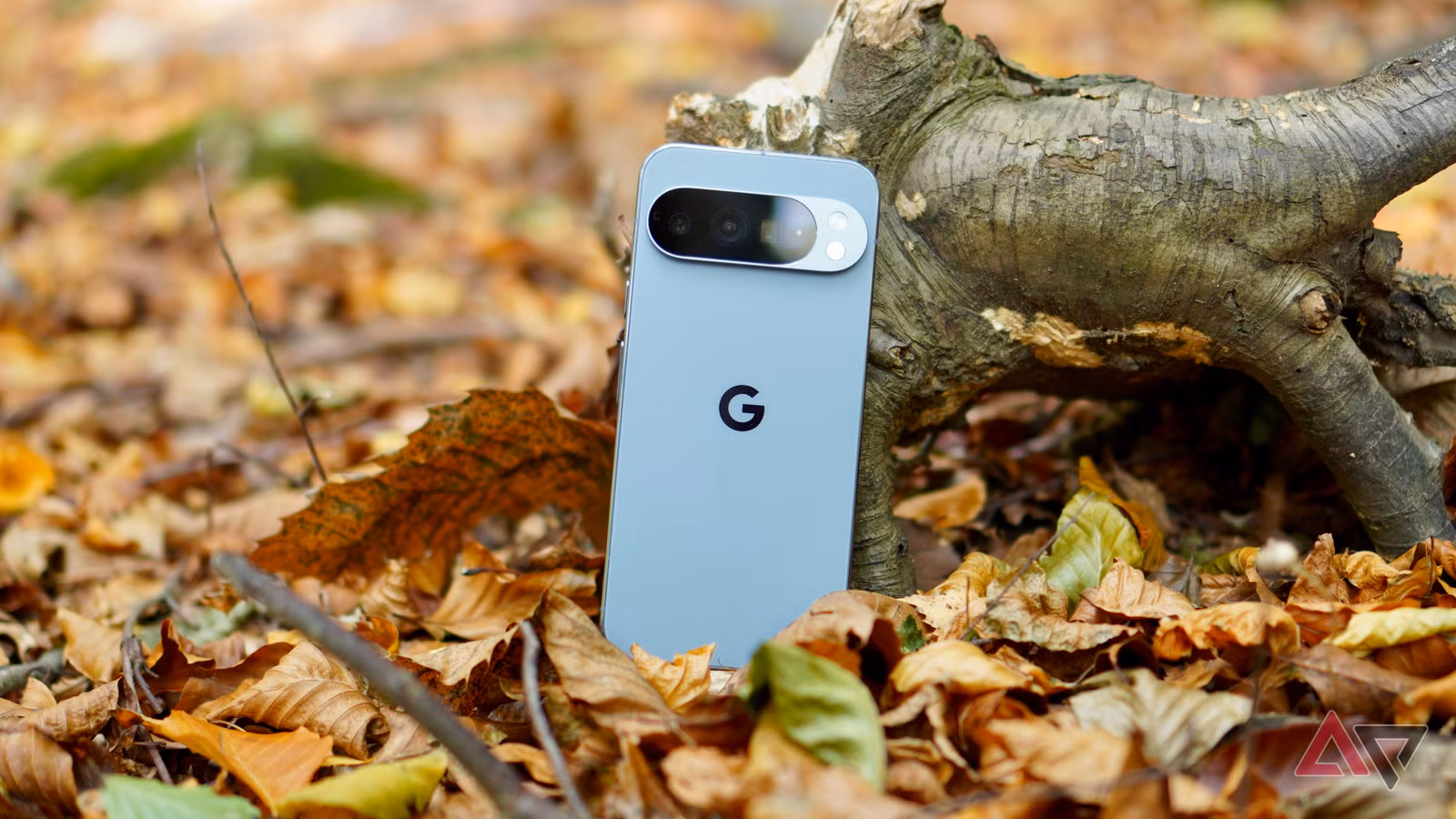 1780363814 pixel 10 pro xl back log JPG