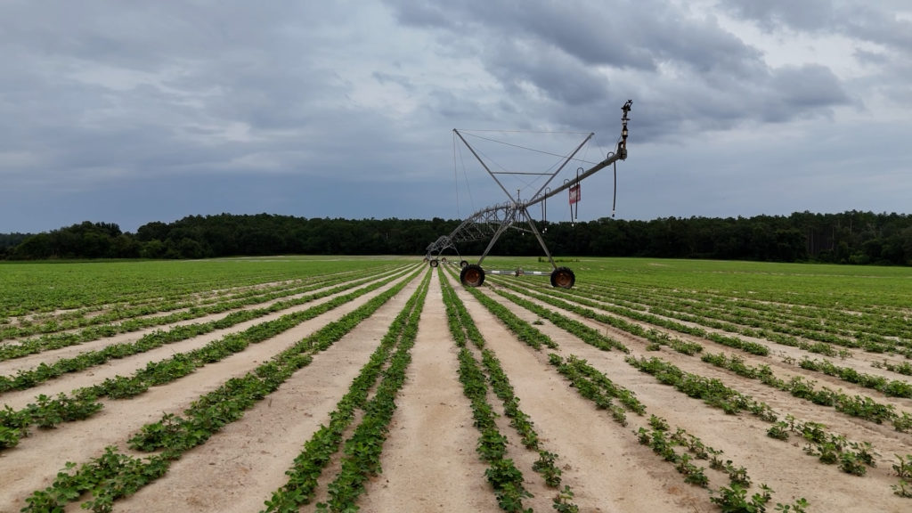 growingchallenges 1024 215 576 jpg