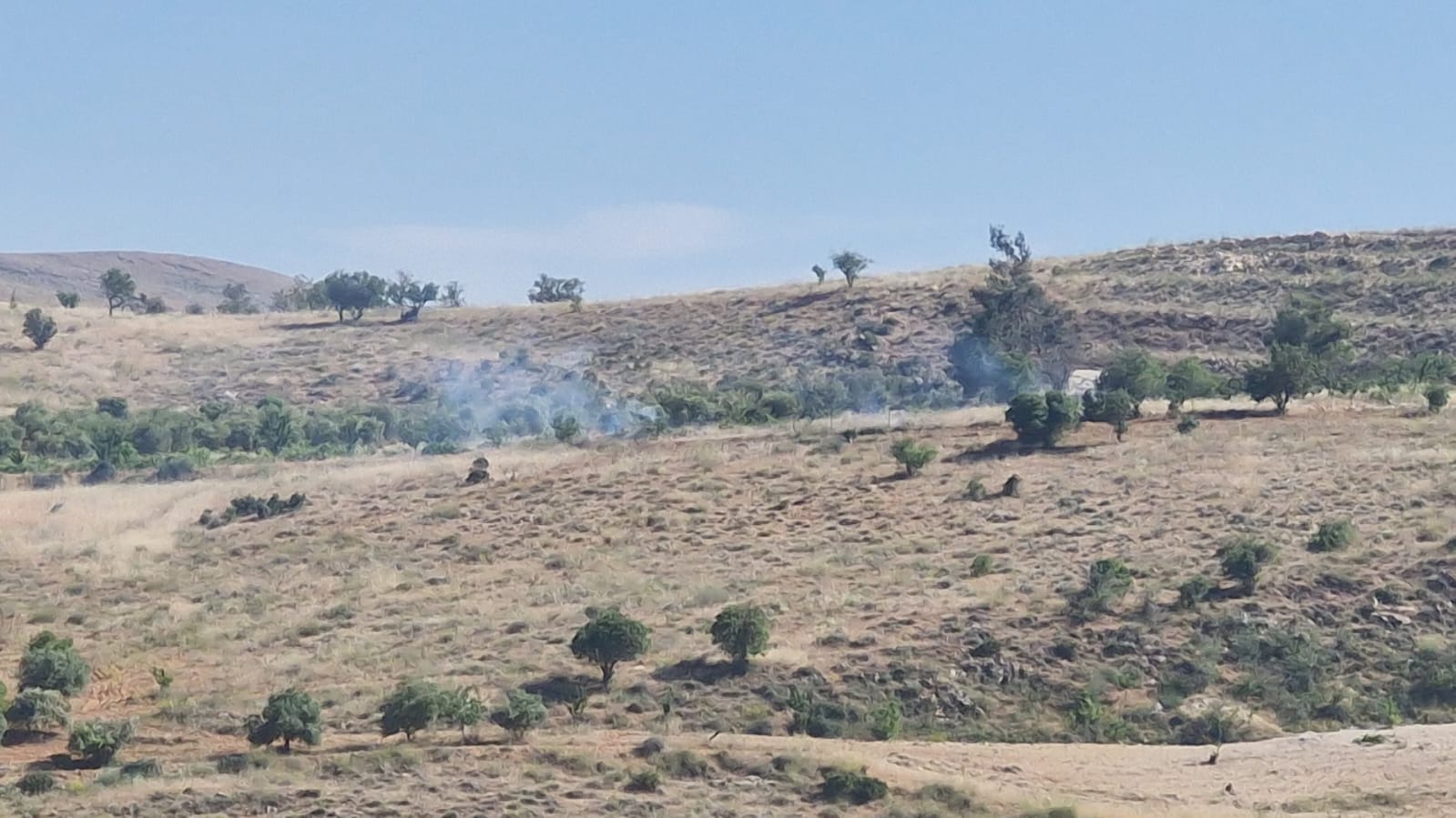 manar 895b488585f55675 jpeg