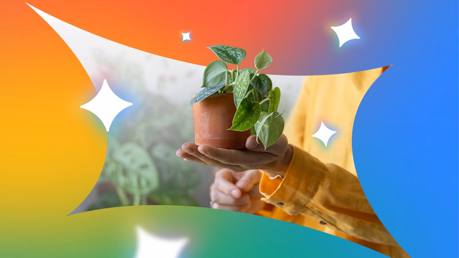 person holding a potted plant surrounded by colorful gemini sparkles png