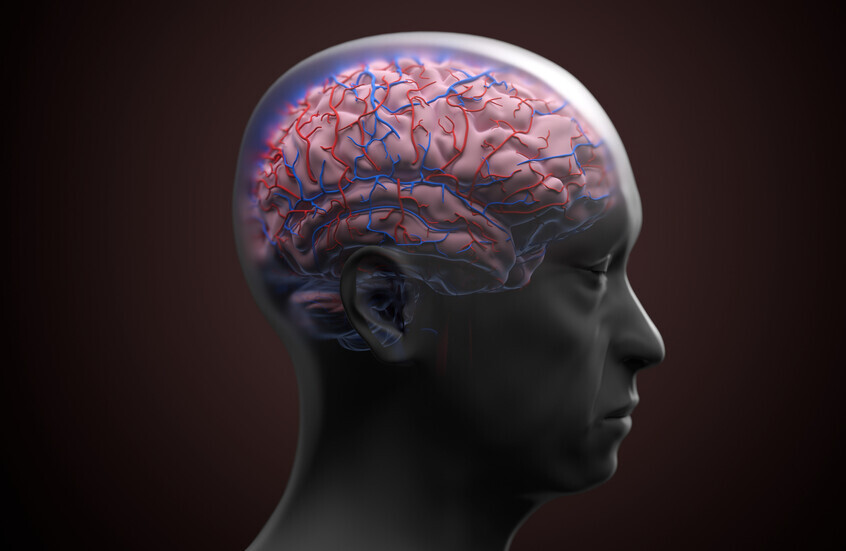 1783027844 6a4509d24c59b70a6d4231c8 jpg