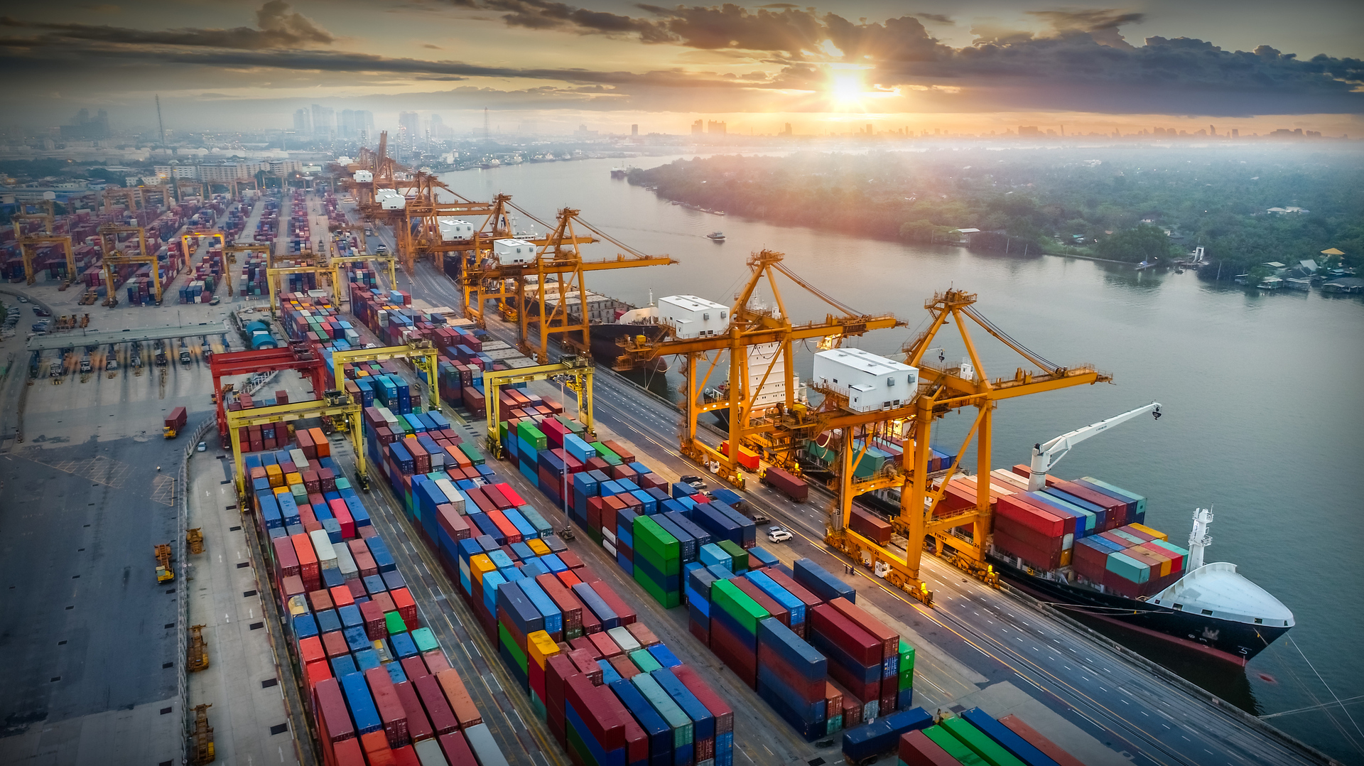 1784518229 6a5ced3e42360421bc54c2db jpg