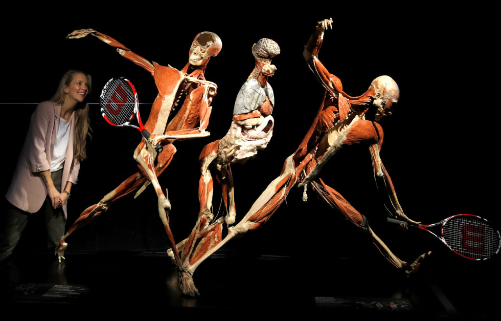 2018 10 04T105543Z 2051211387 RC172A2A57A0 RTRMADP 3 BRITAIN BODYWORLDS 1024  215 657 jpg