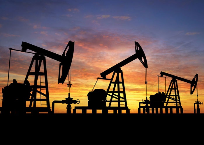 33135 oil3 jpg