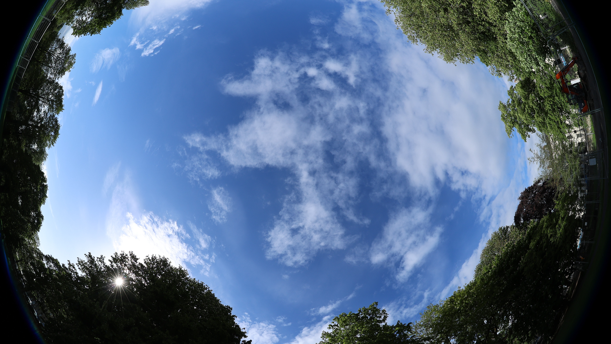 A blue sky with clouds surrounded by trees with a fisheye distortion as imaged by the Canon EOS R6 III and Canon RF 7-14mm f/2.8-3.5 fisheye lens.