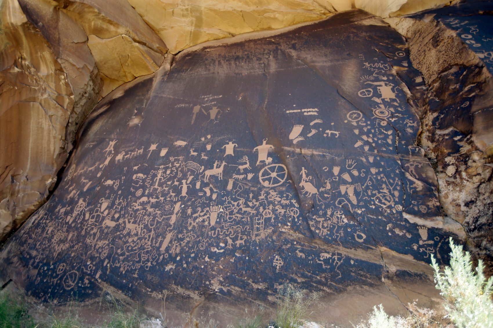 آثار ترامب