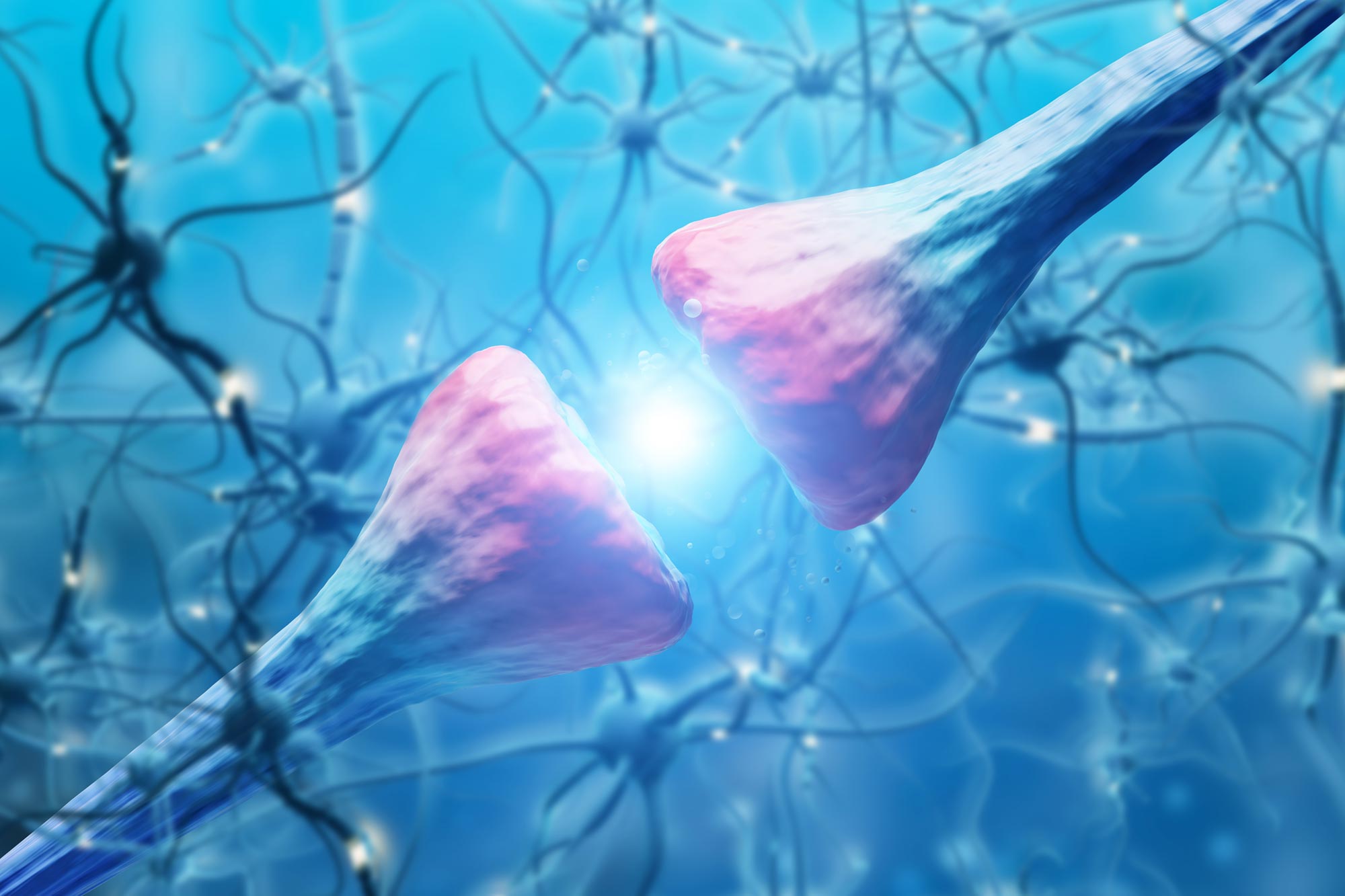 Brain Cells Neurons Synapse Communication jpg