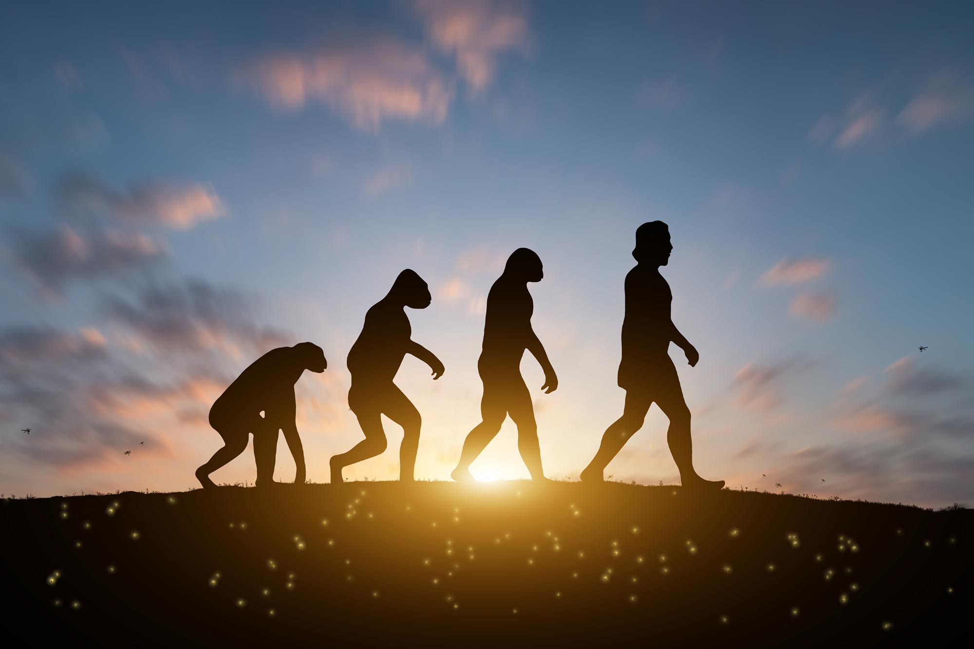 Human Evolution Sunset jpg