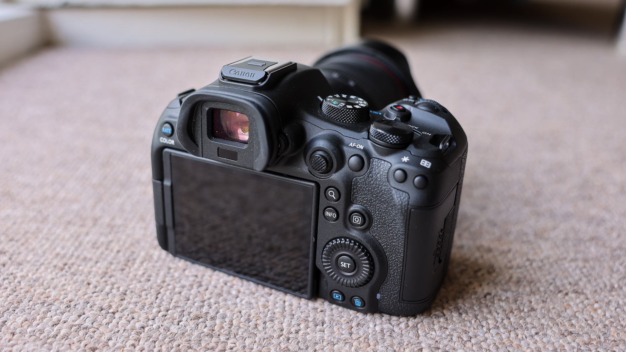 The back panel and screen of the Canon EOS R6 III.