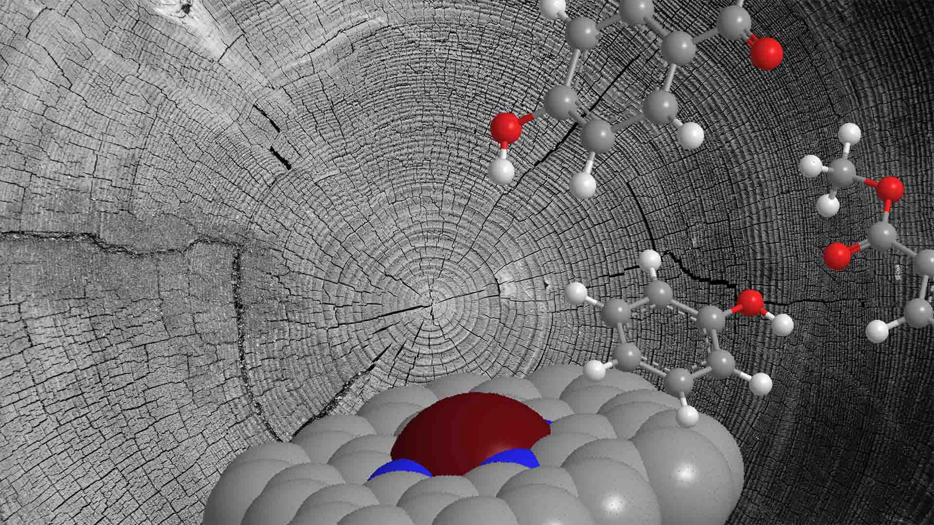 Lignin Based Catalyst Molecular Illustration jpg