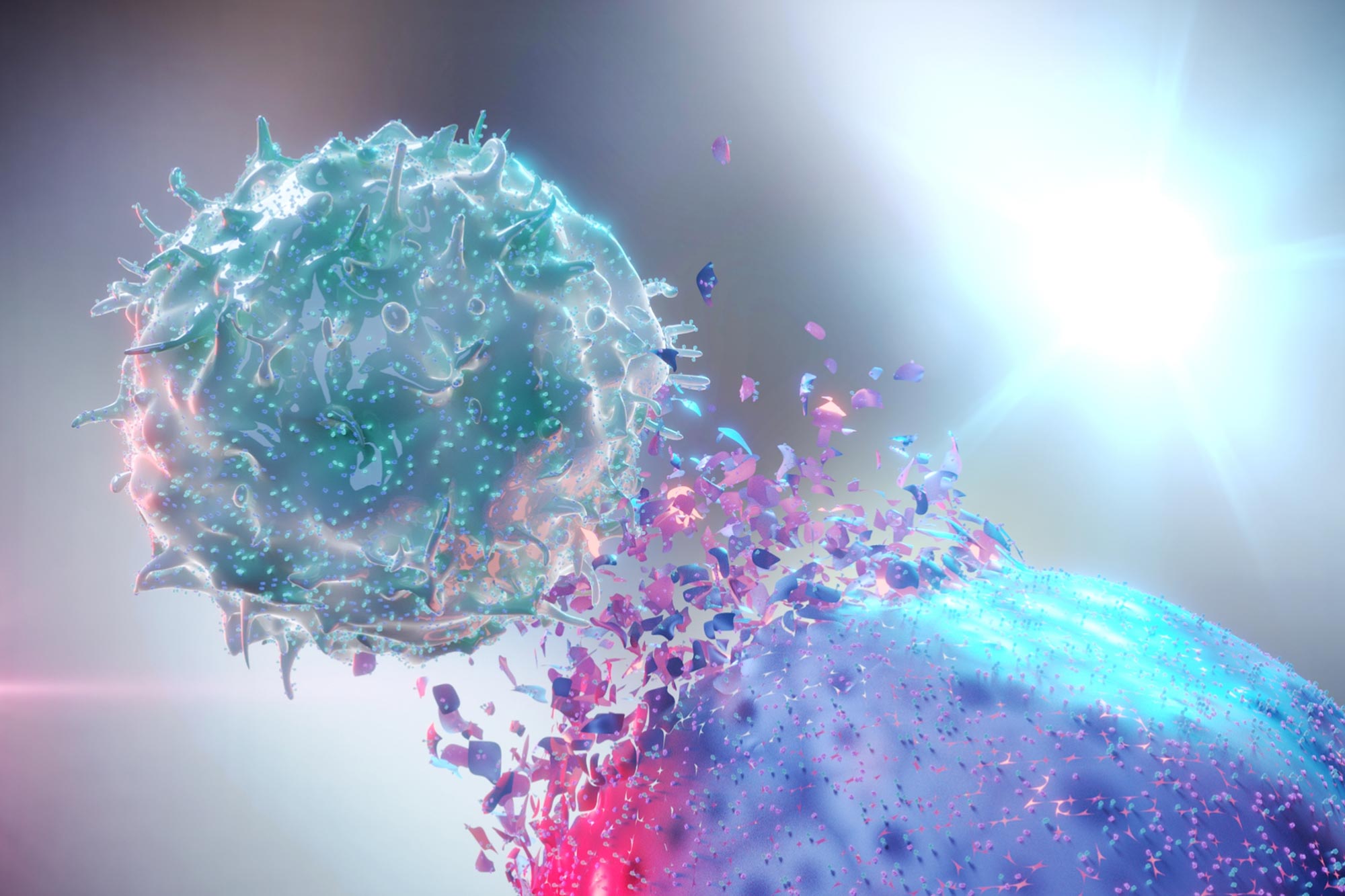 Natural Killer NK Destroying Cancer Cell jpg