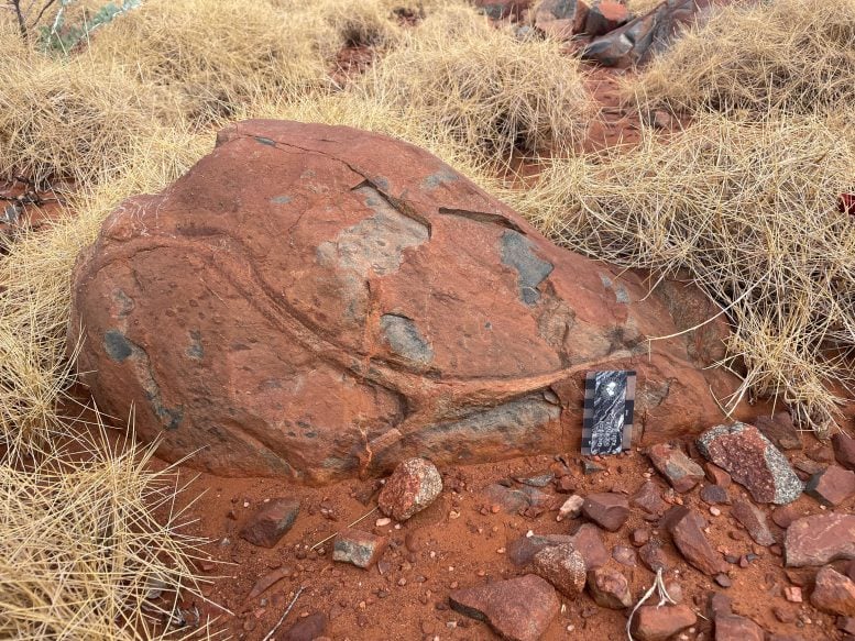 وسادة Variolitic Lavas في مجموعة Whundo