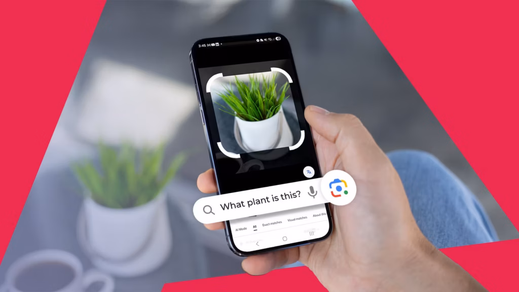 A Hand Holding A Smartphone Using Google Lens To Identify A Small Potted Plant With A Search Bar Ask Avif
