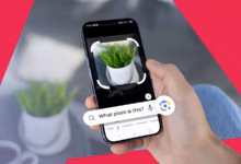 A Hand Holding A Smartphone Using Google Lens To Identify A Small Potted Plant With A Search Bar Ask Avif