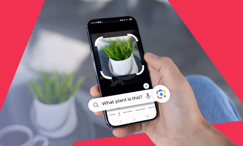 A Hand Holding A Smartphone Using Google Lens To Identify A Small Potted Plant With A Search Bar Ask Avif