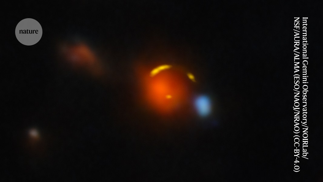 d41586 026 02034 1 52836086 jpg