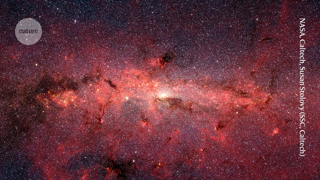 d41586 026 02173 5 52959442 jpg