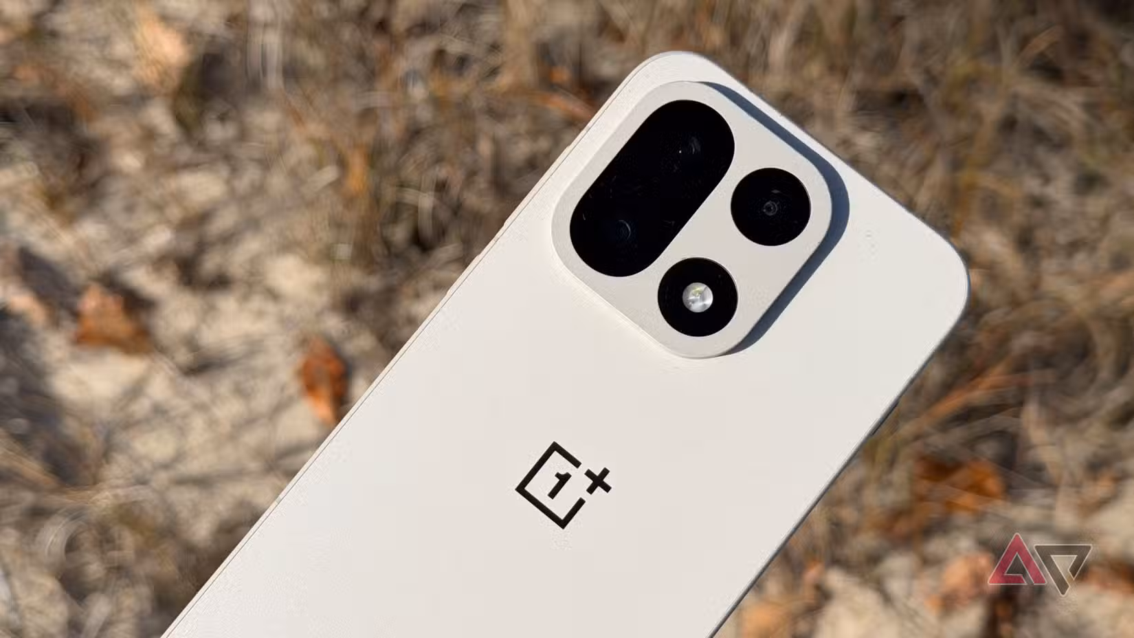 عرض OnePlus 15 على الرمال