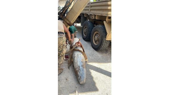 manar 67b405ae4ed6351c jpg