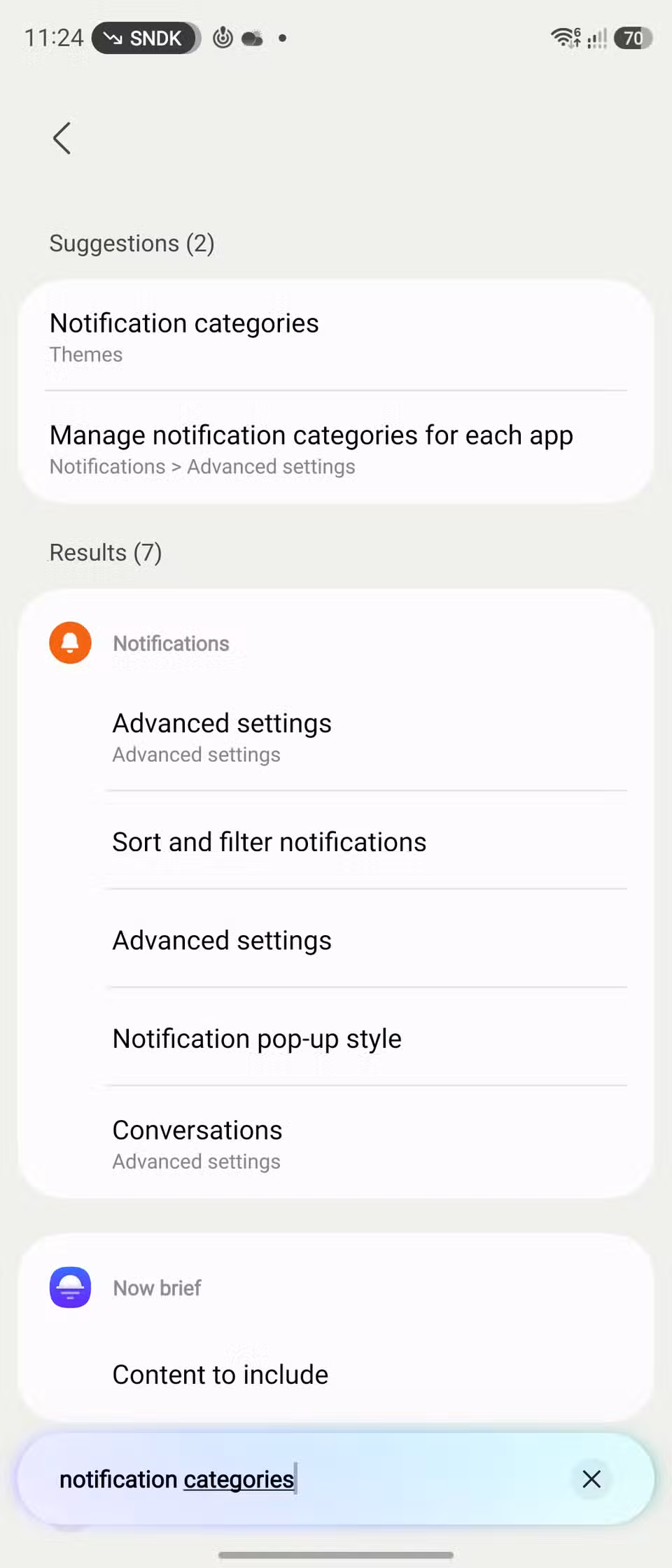 إعدادات Samsung One UI تبحث عن ميزة فئات الإشعارات 