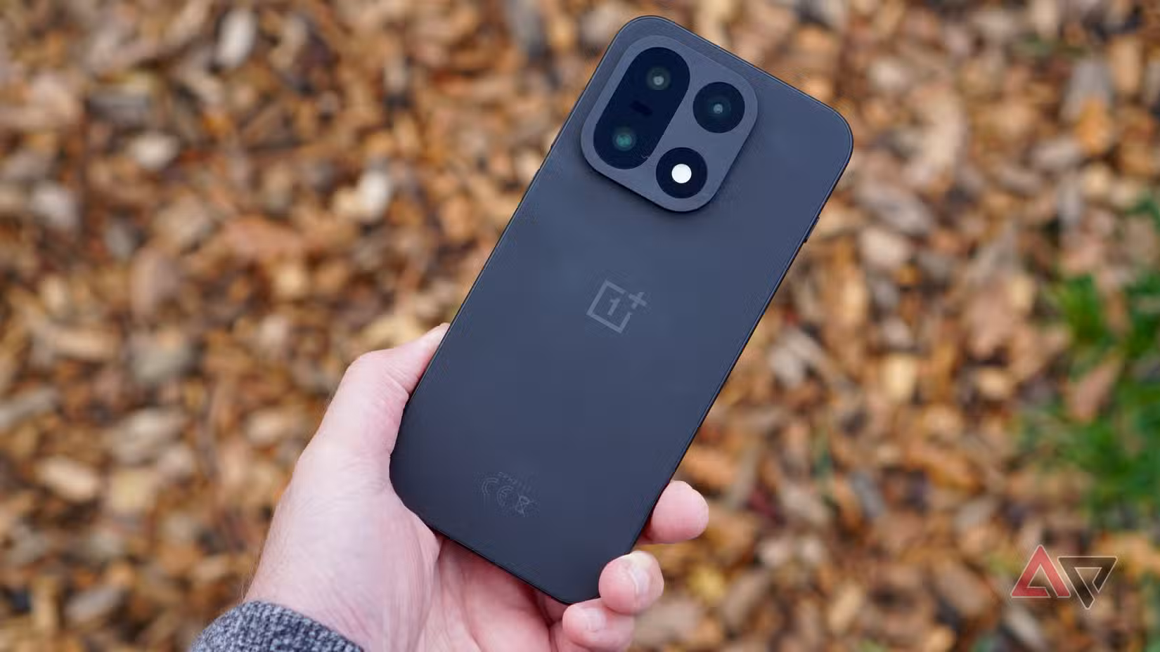 شخص يحمل هاتف OnePlus 15