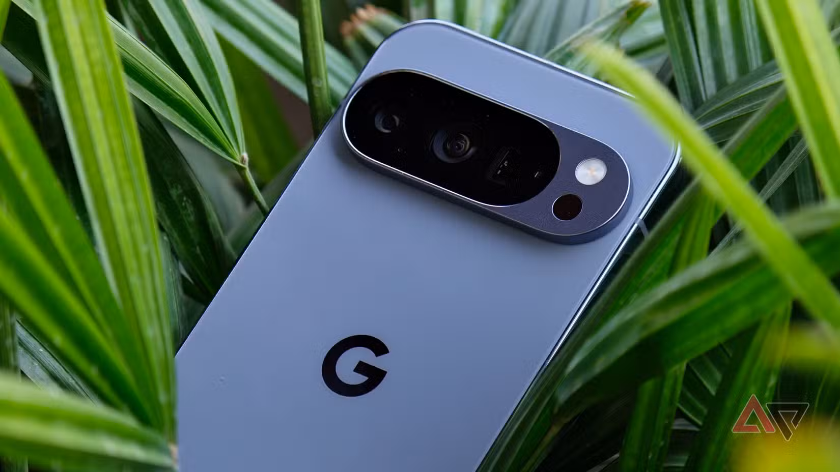 هاتف Pixel 10 Pro يستريح على نبات أخضر