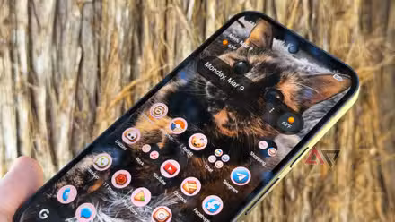 لقد وجدت مدير الحافظة المهملة؛ إنها أفضل ترقية فردية لـ Pixel