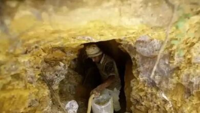 فاجعة داخل أكبر منجم للذهب في مصر
