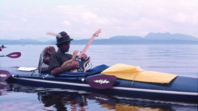‘They would come in with a chord change’: Composer Jim Nollman tells of his extraordinary interactions while jamming with orcas and other animals