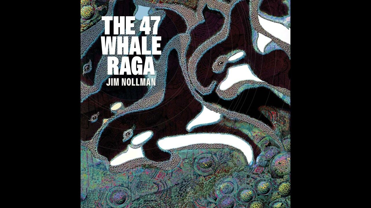 ‘They would come in with a chord change’: Composer Jim Nollman tells of his extraordinary interactions while jamming with orcas and other animals