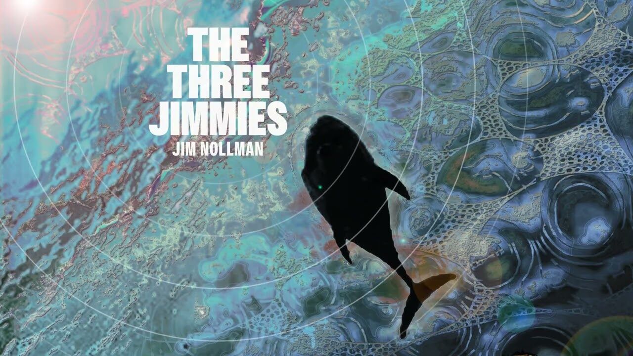 ‘They would come in with a chord change’: Composer Jim Nollman tells of his extraordinary interactions while jamming with orcas and other animals