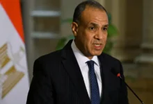 مصر وملادينوف يبحثان استكمال تنفيذ خارطة الطريق في غزة