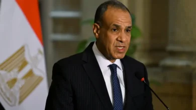 مصر وملادينوف يبحثان استكمال تنفيذ خارطة الطريق في غزة مصر وملادينوف يبحثان استكمال تنفيذ خارطة الطريق في غزة